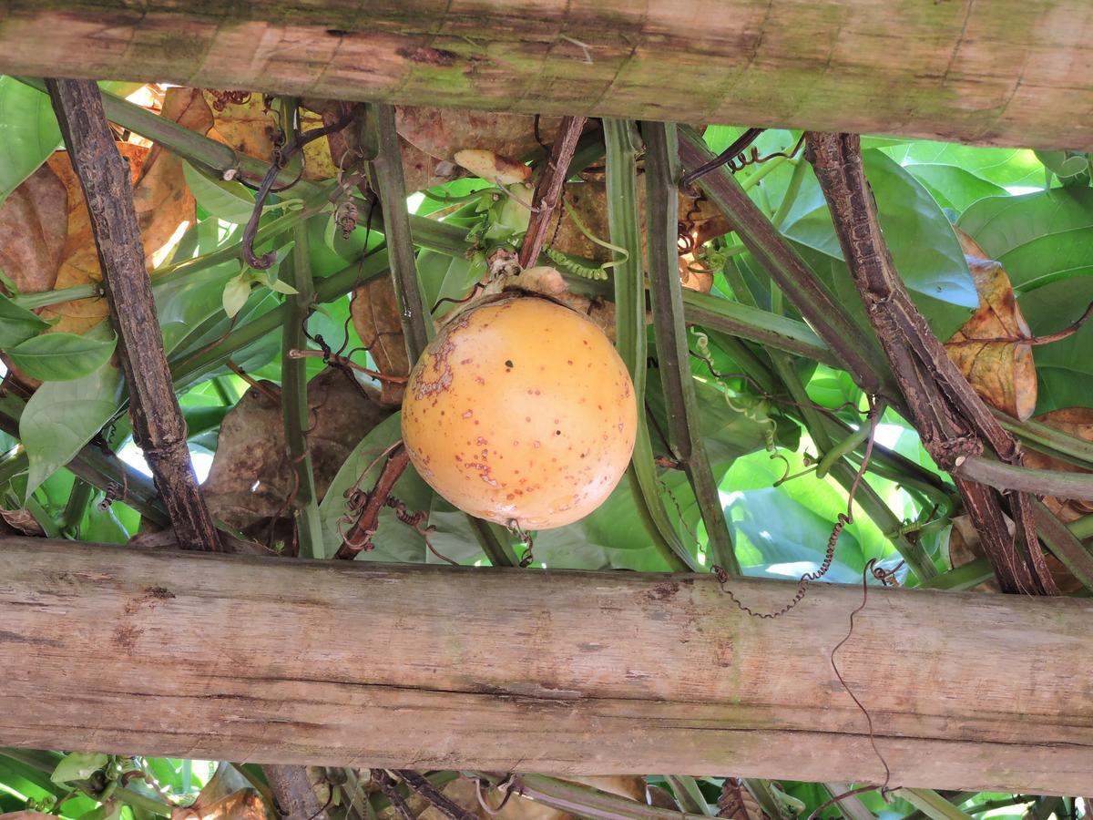 Pousada Casa Da Serra São Tomé das Letras Esterno foto